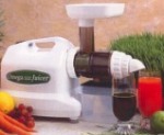 Fruit and Vegetable Juicer